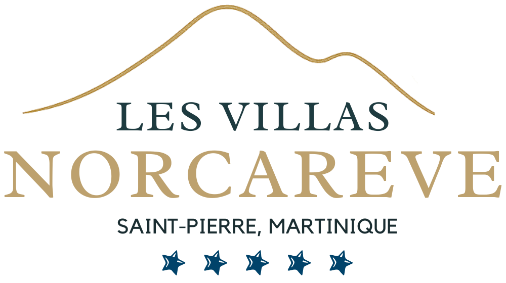 norcareve logo transparent